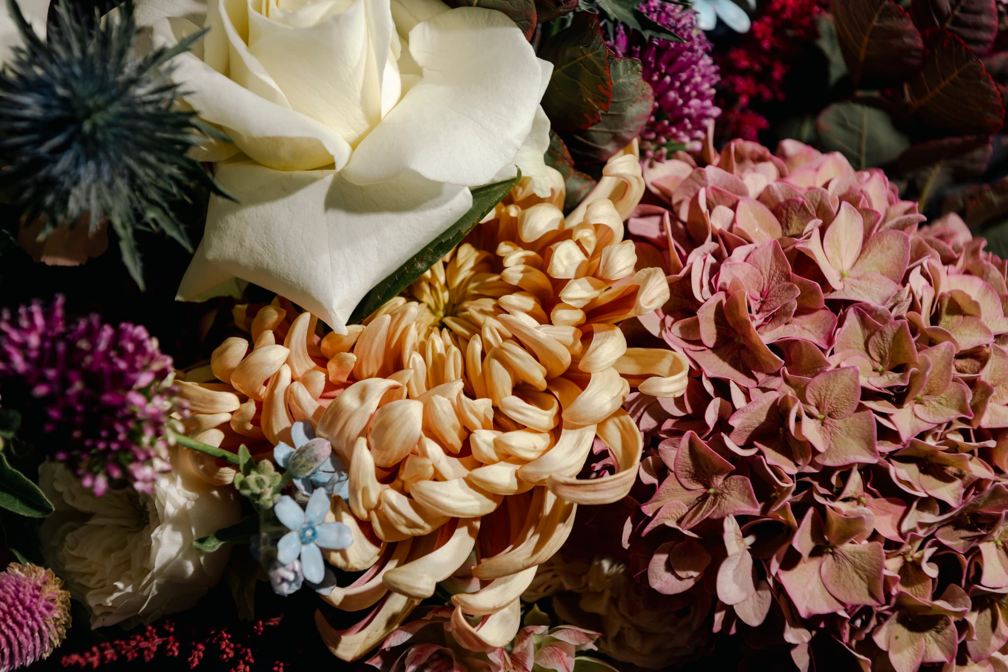 Céline Fleur - Artisan fleuriste