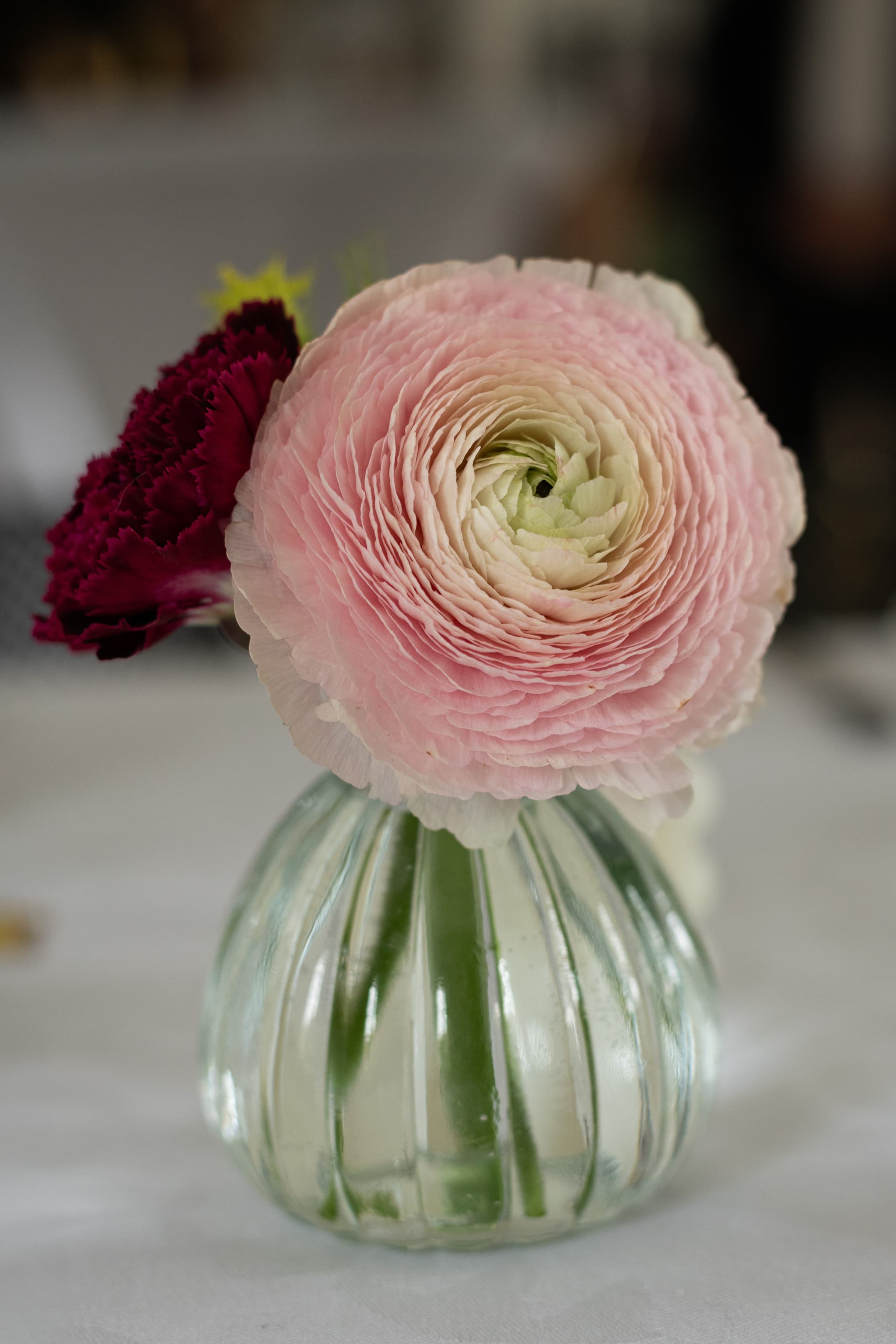 Baptême Andréa - Photo 12