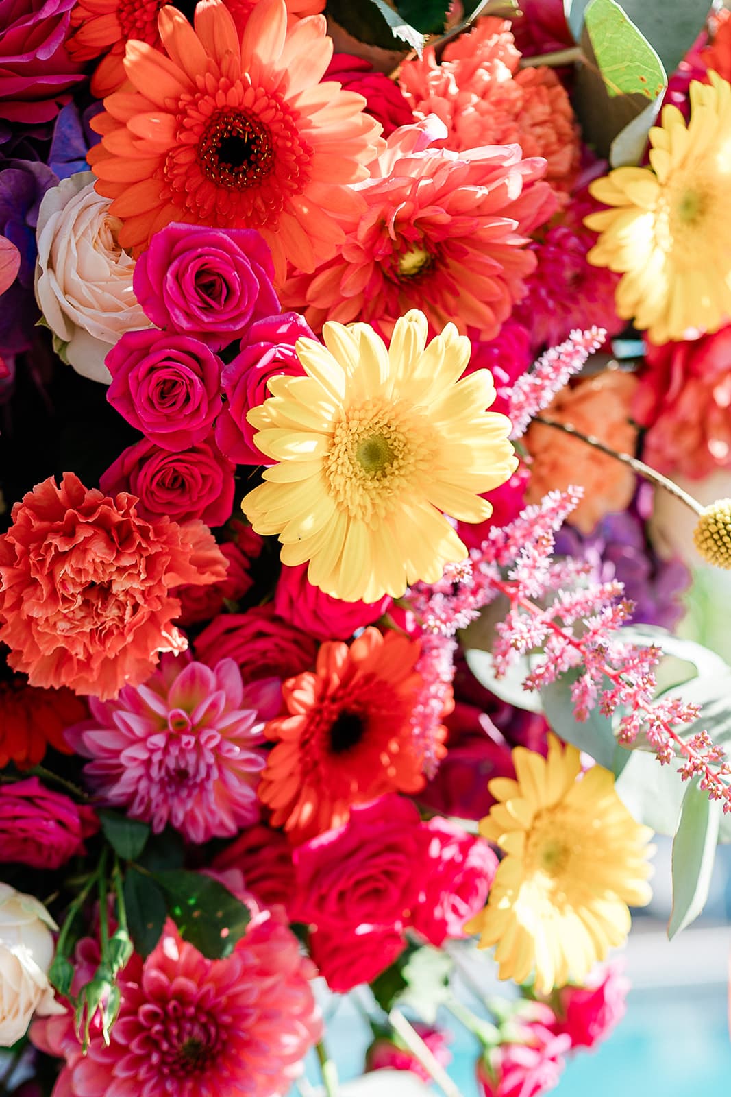 Cyrielle & Maxime - Photo 19