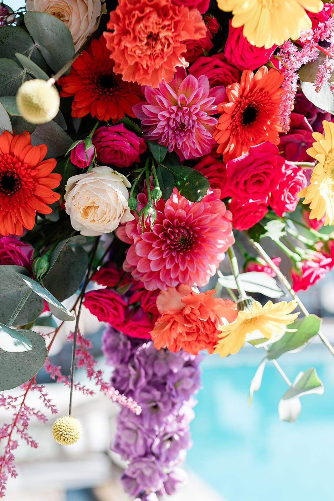 Cyrielle & Maxime - Photo 20