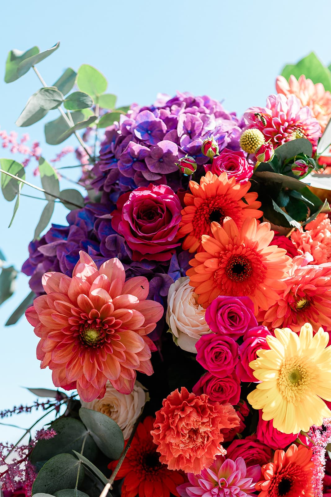 Cyrielle & Maxime - Photo 21