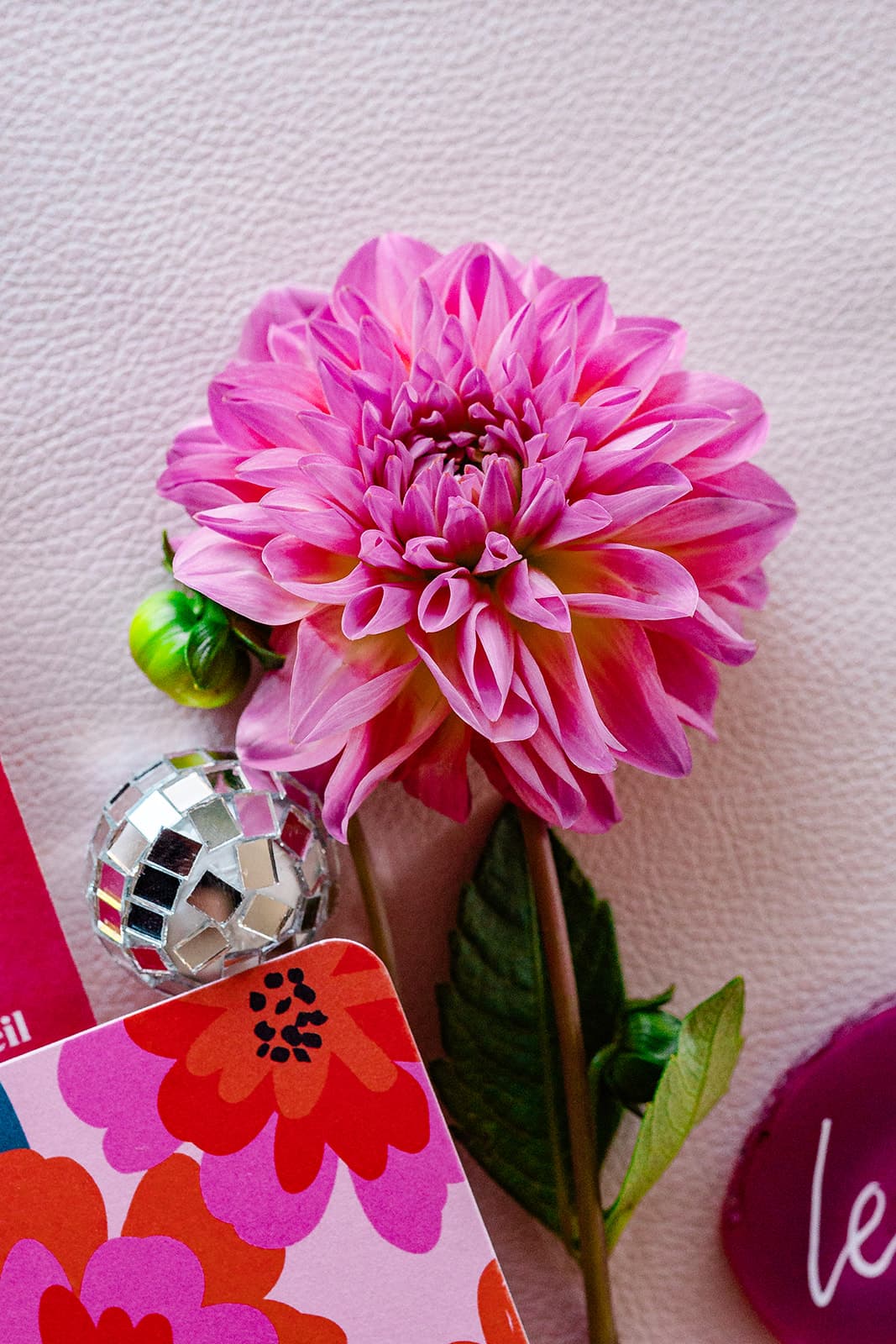 Cyrielle & Maxime - Photo 30