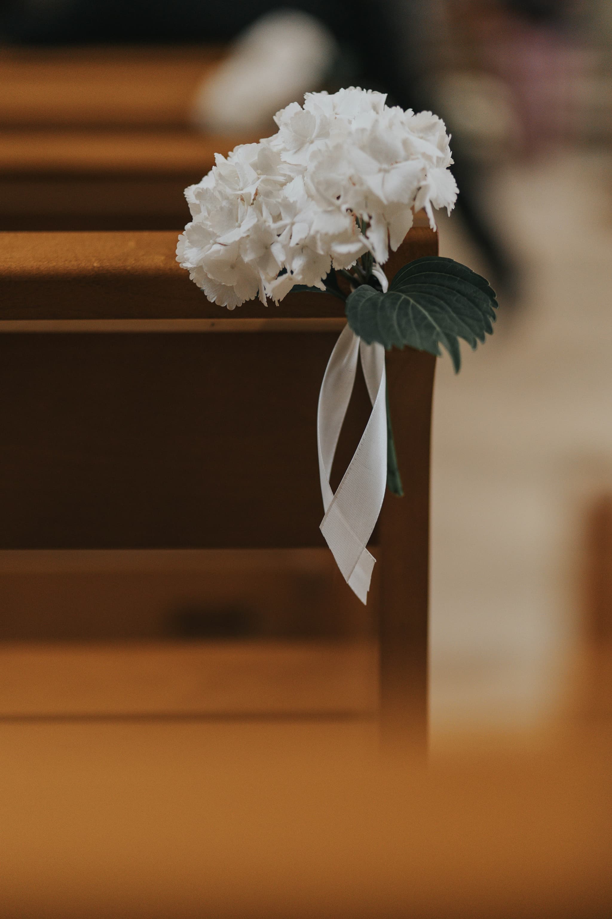 Valentine & Maxime - Photo 22